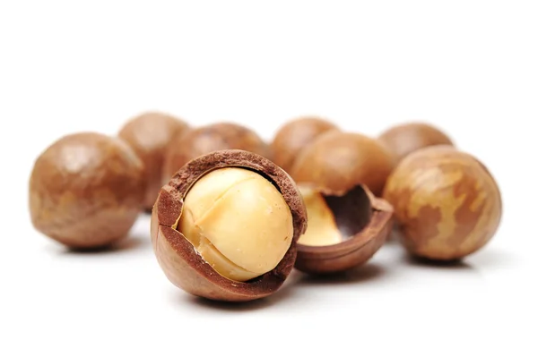 Macadamianötter på vit — Stockfoto