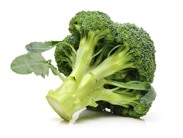 Broccoli isolati su fondo bianco — Foto Stock