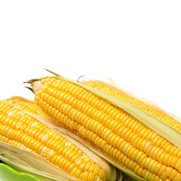 Head of yellow maize — Stock Photo, Image