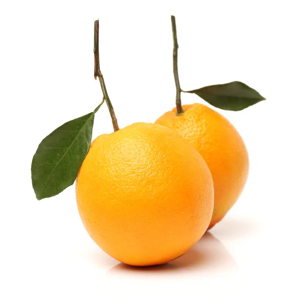 新鮮なジューシーなオレンジを葉します。 — ストック写真