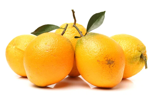 Fresh juicy oranges with leafs — Stock Photo, Image