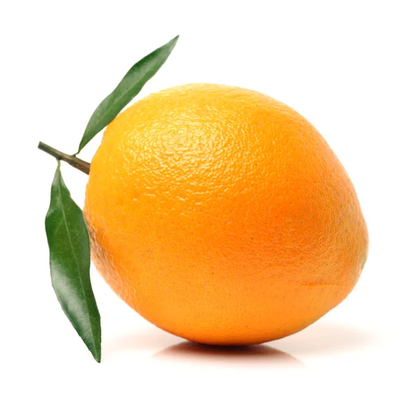 Naranja jugosa fresca — Foto de Stock