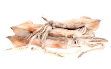 taze mürekkep yakalandı