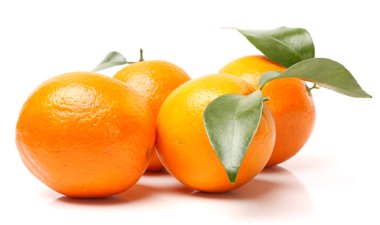 yaprakları ile olgun mandalina