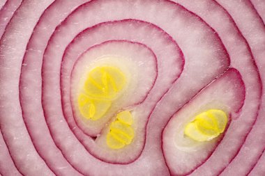 Kırmızı soğan dilimi