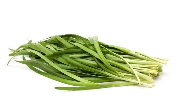 Green onion leaves — Stock Photo, Image