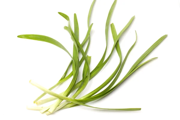 Green onion leaves — Stock Photo, Image