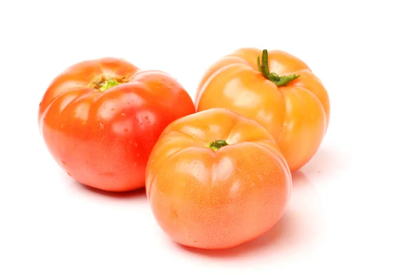 Frische Tomaten — Stockfoto