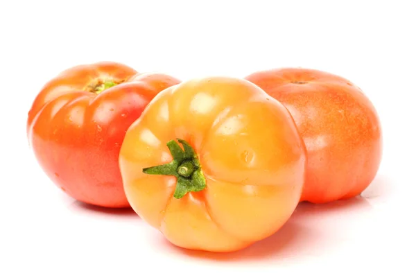 Frische Tomaten — Stockfoto