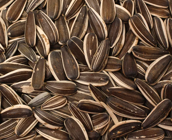 Black sunflower seeds — Stock Photo, Image