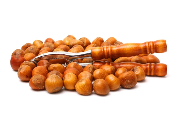 Hazelnuts — Stock Photo, Image