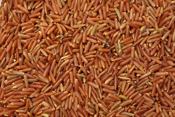 Punainen riisi — kuvapankkivalokuva