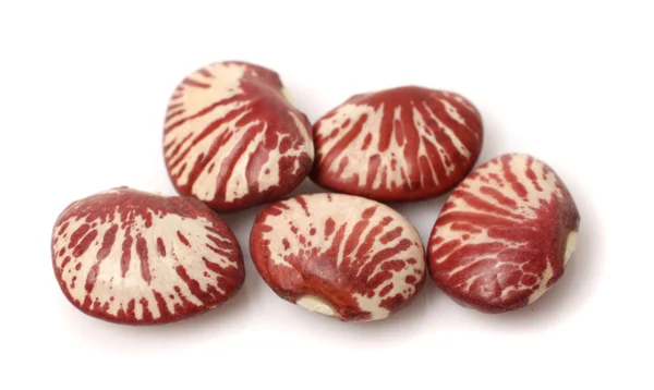 Röda och vita bönor — Stockfoto