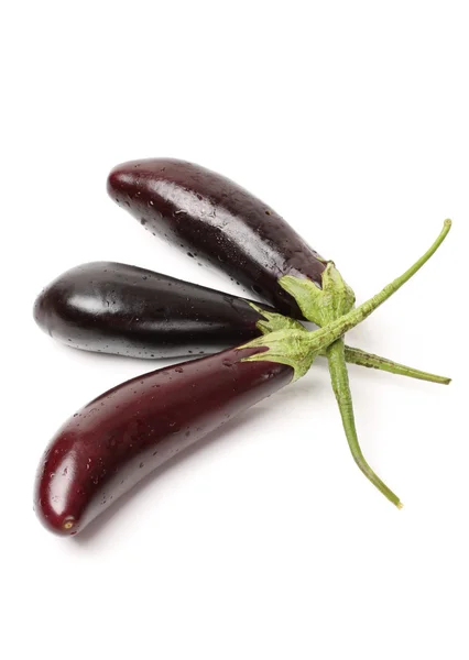 Purple eggplants — Stock Photo, Image