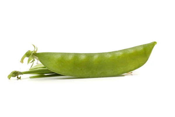 Green beans — Stock Photo, Image