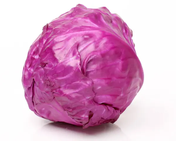 Schöner Rotkohl — Stockfoto