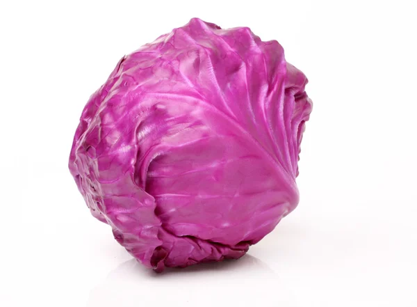 Schöner Rotkohl — Stockfoto