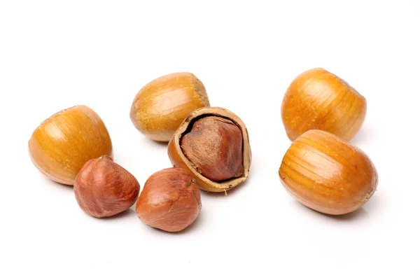 Hazelnuts on white — Stock Photo, Image