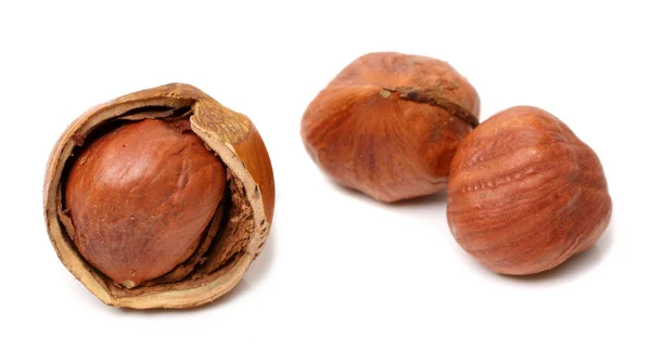 Hazelnuts on white — Stock Photo, Image