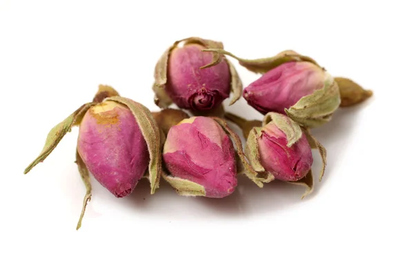 Dried pink roses Royalty Free Stock Photos
