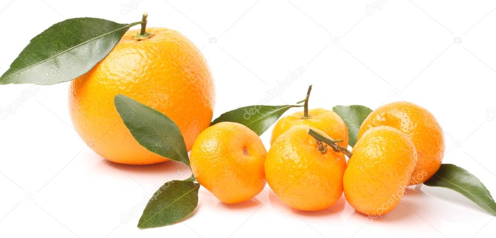 Ripe tangerines   with leaves