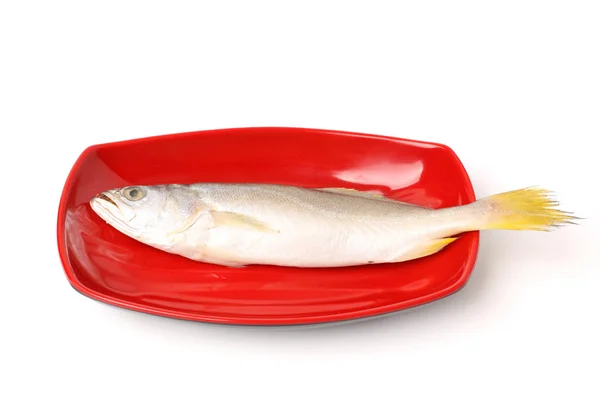 Pesce fresco sul piatto — Foto Stock