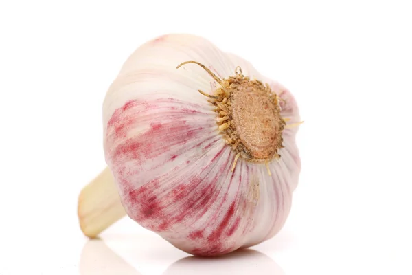 Frischer Knoblauch — Stockfoto