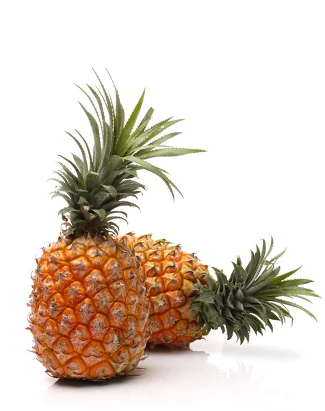 Pineapples on white background — Stock Photo, Image