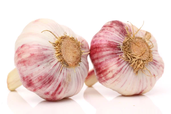 Frischer Knoblauch — Stockfoto