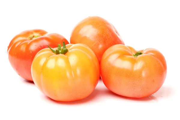 Frische Tomaten — Stockfoto