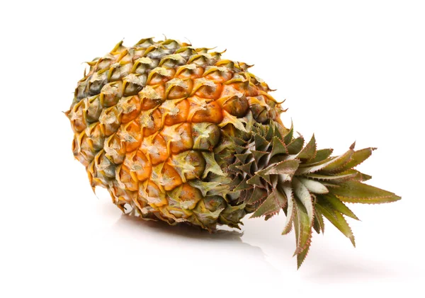 Ananas auf weißem Hintergrund — Stockfoto