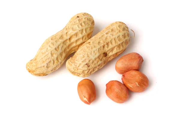 Fresh peanuts — Stock Photo, Image