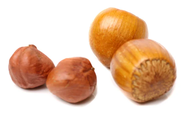 Hazelnuts on white — Stock Photo, Image