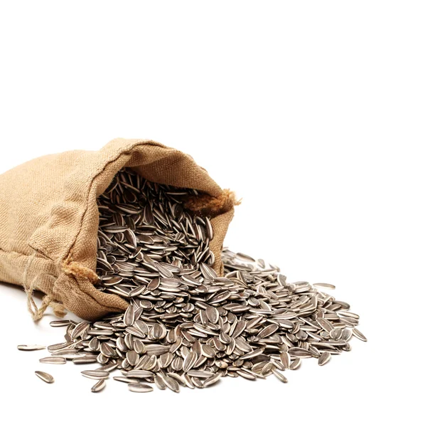 Sunflower seeds in sack — Stock Photo, Image