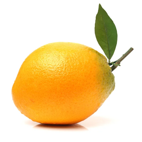 Naranja jugosa fresca —  Fotos de Stock