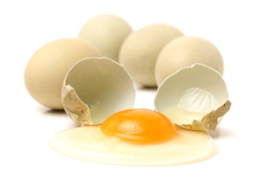 tavuk yumurta ve yumurta sarısı