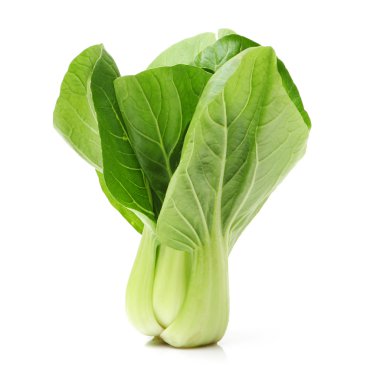 Pok Choi