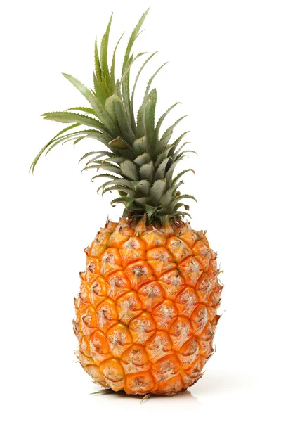 Mogen färsk ananas — Stockfoto