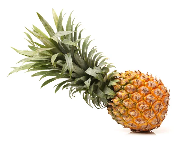 Zralý ananas čerstvý — Stock fotografie