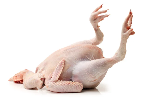 Whole raw hen — Stock Photo, Image