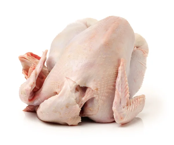 Gallina cruda entera — Foto de Stock