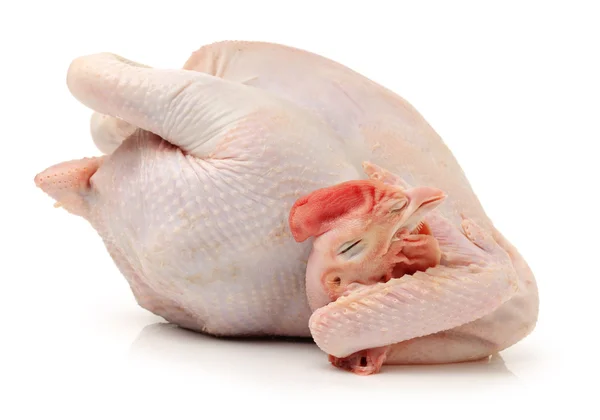 Whole raw hen — Stock Photo, Image