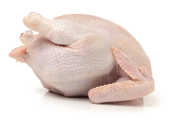 Whole raw hen — Stock Photo, Image