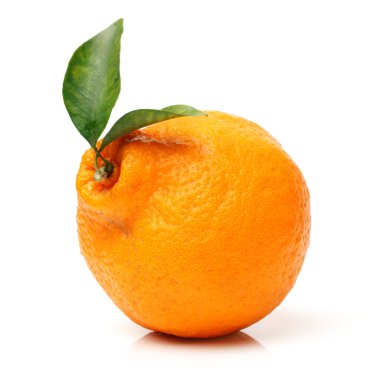 mandarin portakal veya mandalina