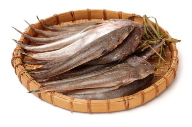 Taze flathead balık