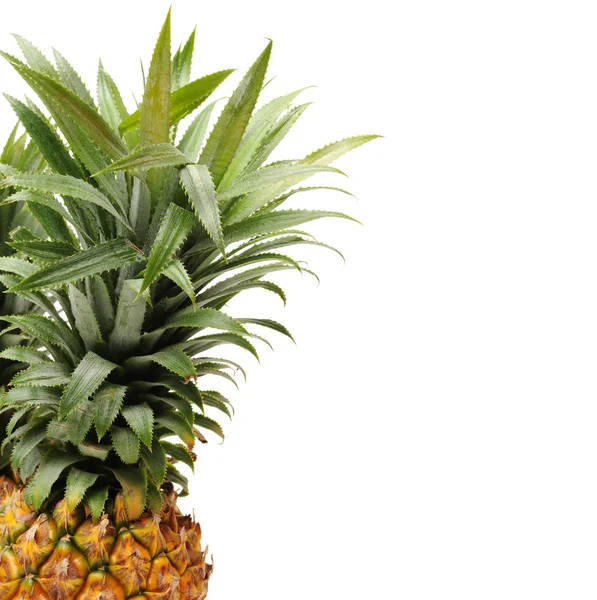 Ripe fresh pineapples — Stock Photo, Image