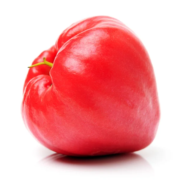 Rose apple eller chomphu — Stockfoto