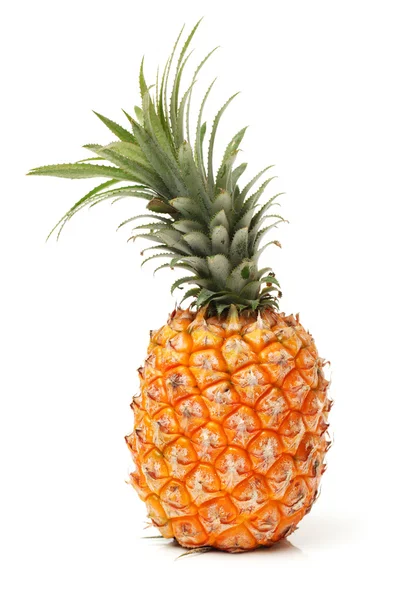 Mogen färsk ananas — Stockfoto