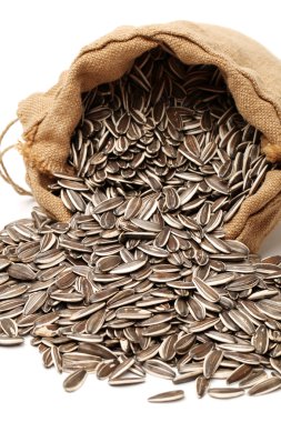 çuval içinde ayçiçeği tohumu