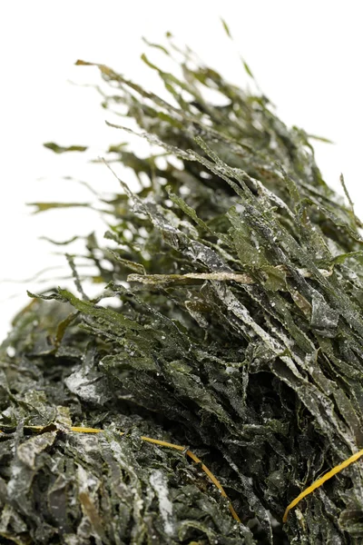 Green seaweed on white — Stock Photo, Image